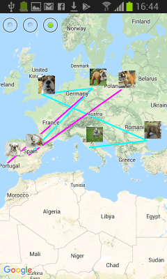 Скриншот приложения Родословная животного (Android) - №5