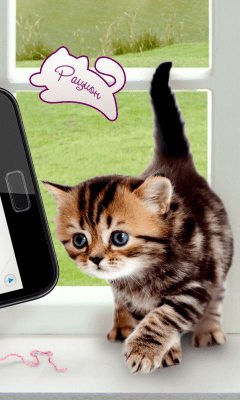 Скриншот приложения Мои питомцы. Кошки Lite - №3