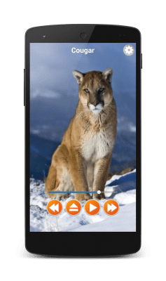 Скриншот приложения Animal Sounds Free Offline - №1