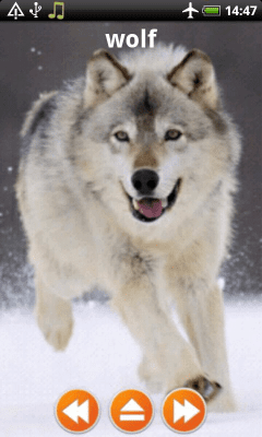 Скриншот приложения Animal Sounds Free Offline - №5