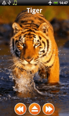 Скриншот приложения Animal Sounds Free Offline - №6