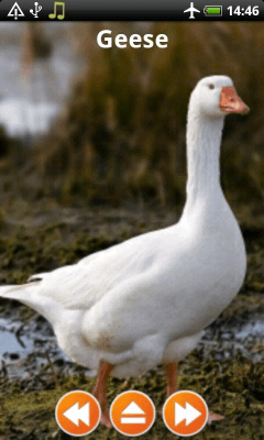 Скриншот приложения Animal Sounds Free Offline - №7