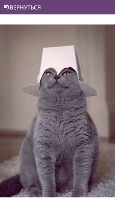 Скриншот приложения Funny Cats - №4