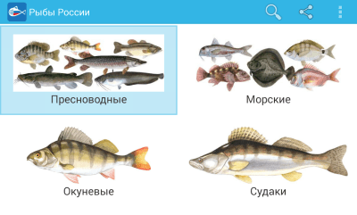 Скриншот приложения Рыбы России - №1