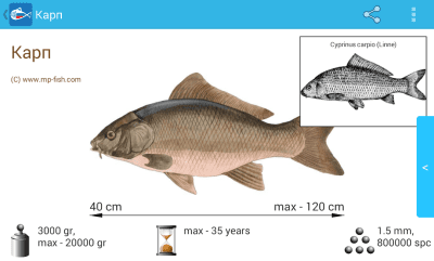 Скриншот приложения Рыбы России - №3