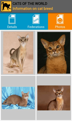 Скриншот приложения Кошки со всего света - №2