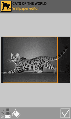 Скриншот приложения Кошки со всего света - №6