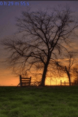 Скриншот приложения Bird Songs - №4