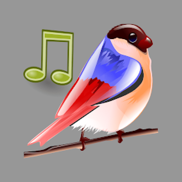Звук птиц час. Звуковая птичка. Аудио звук птицы. Птички звук релакс. Иконка голос птицы.