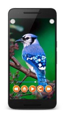 Скриншот приложения Звуки Птиц - №2