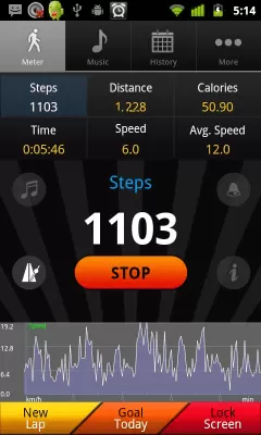 Скриншот приложения Шагомер - №1