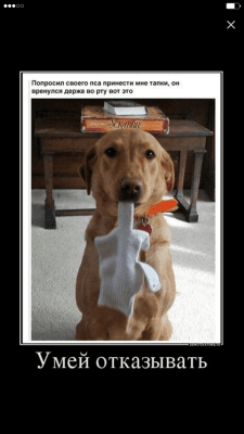 Скриншот приложения Улыбнись!:) - №5