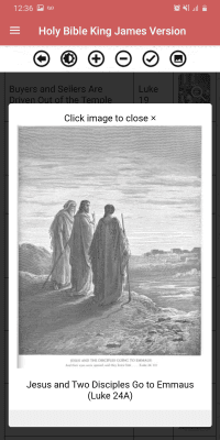 Скриншот приложения Holy Bible King James Version (Free) - №6