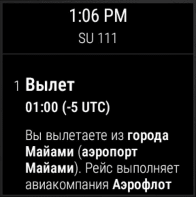 Скриншот приложения Sheremetyevo airport - №7