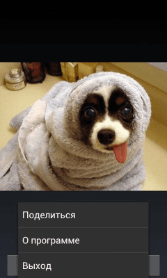 Скриншот приложения Смешные картинки - №3