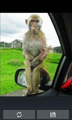 Скриншот приложения Смешные картинки - №5