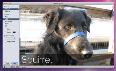 Скриншот приложения Acorn - №6