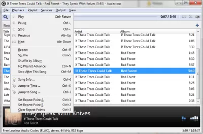 Скриншот приложения Audacious - №3