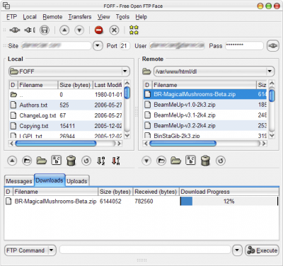 Скриншот приложения Free Open FTP Face - №6