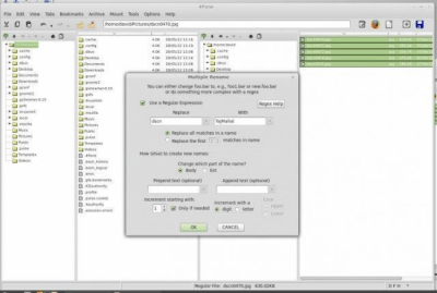Скриншот приложения 4Pane - №3
