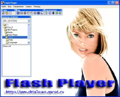 Скриншот приложения Flash Player для Windows - №1