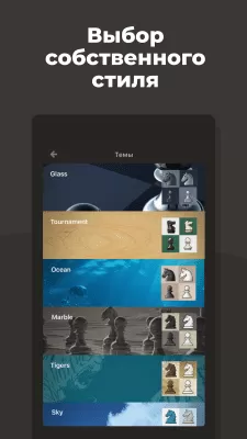 Скриншот приложения Шахматы от Chess.com - №8