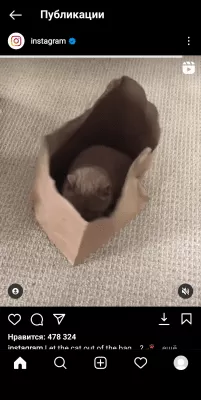 Скриншот приложения Instander - №5