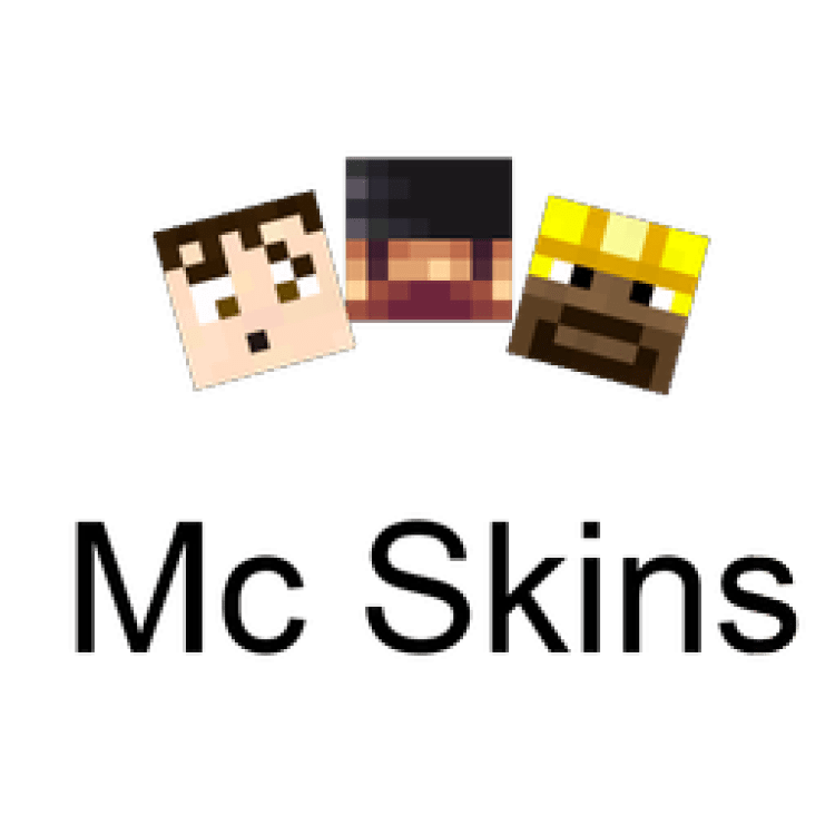 MC Skins 3d icon.