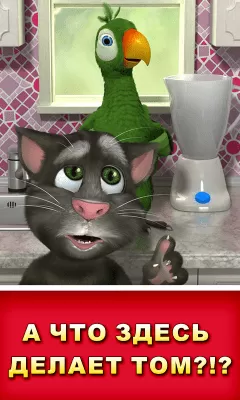 Скриншот приложения Говорящий Пьер - №4