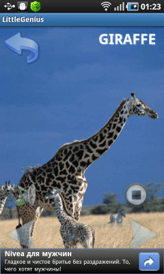 Скриншот приложения Мой маленький гений - №4