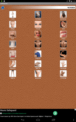 Скриншот приложения Мой маленький гений - №6