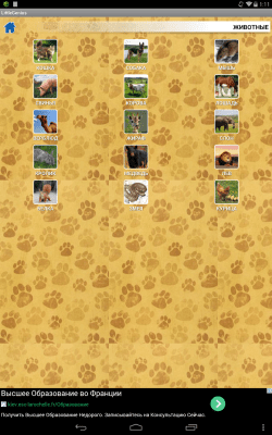 Скриншот приложения Мой маленький гений - №7