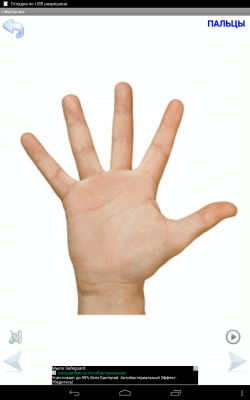 Скриншот приложения Мой маленький гений - №8