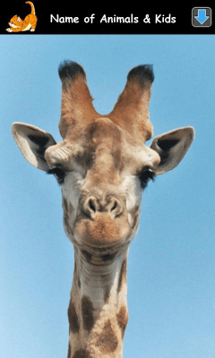 Скриншот приложения Изучаем Звуки Животных - №3