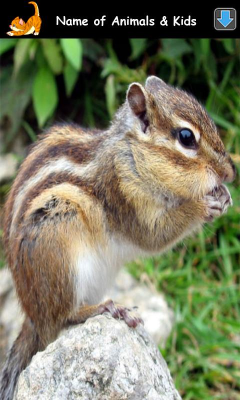 Скриншот приложения Изучаем Звуки Животных - №4