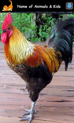 Скриншот приложения Изучаем Звуки Животных - №5