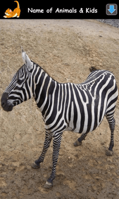 Скриншот приложения Изучаем Звуки Животных - №7