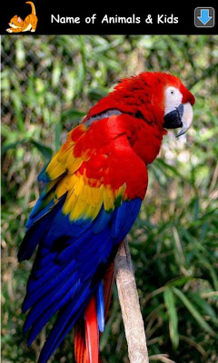 Скриншот приложения Изучаем Звуки Животных - №8