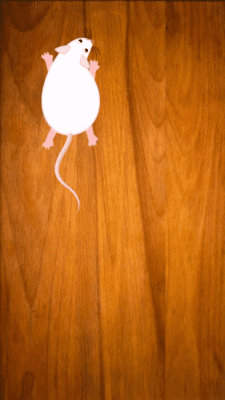 Скриншот приложения Game For Cats - №4