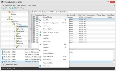 Скриншот приложения StrongSVN - №3