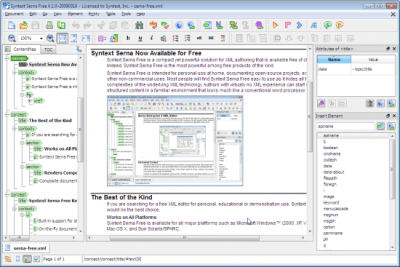 Скриншот приложения Syntext Serna Free для Windows - №1