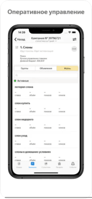 Скриншот приложения Яндекс Директ - №1