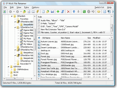 Скриншот приложения EF Multi File Renamer - №1