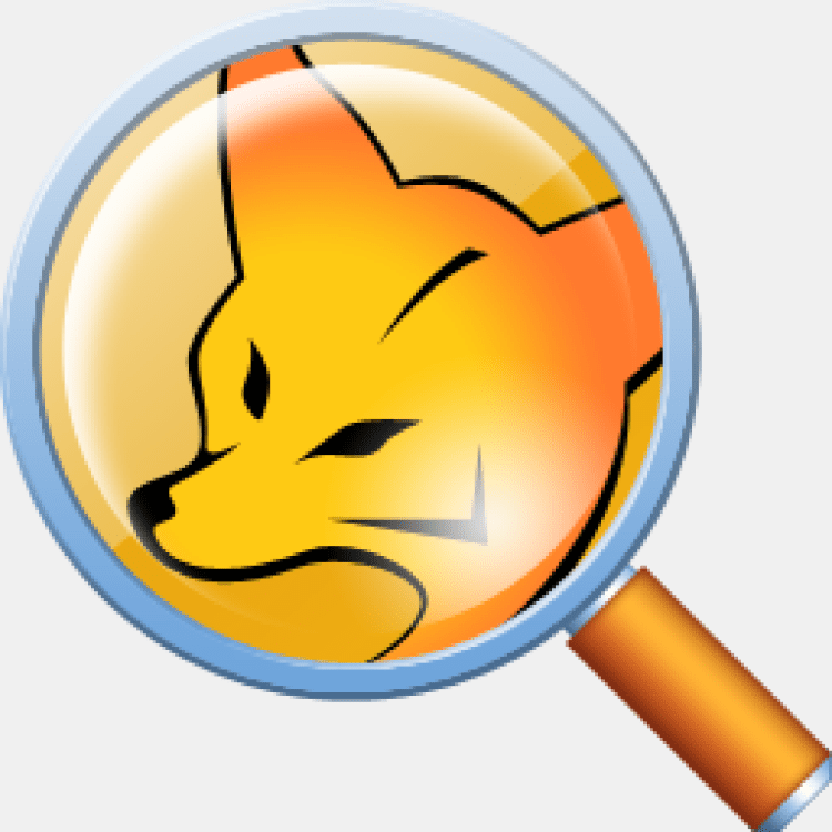 Visual fox. СУБД Visual FOXPRO. Логотип фокспро. Визуал Фокс про. FOXPRO программа.