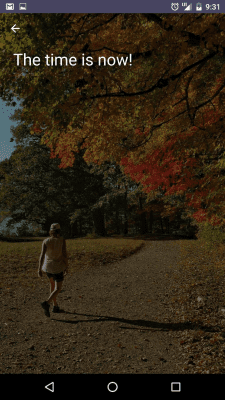 Скриншот приложения PixelKnot: Hidden Messages - №8