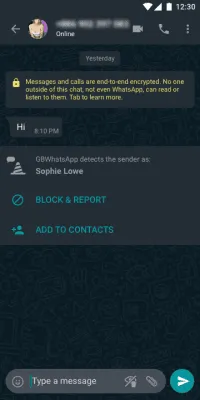 Скриншот приложения GBWhatsApp Pro - №3