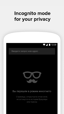 Скриншот приложения Браузер Пульс - №4