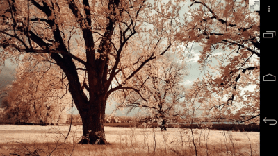 Скриншот приложения Full Screen Private Browsing - №5