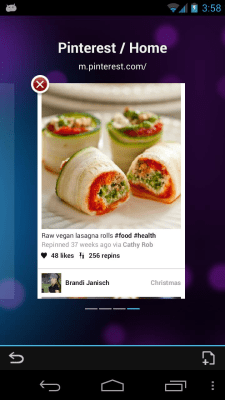 Скриншот приложения Boat Browser Mini - №6