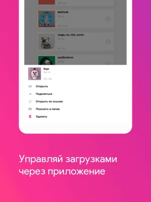 Скриншот приложения Insane — Скачать Фото и Видео из Инстаграм - №5